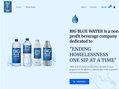 BIG BLUE WATER Non-Profit Beverage Company